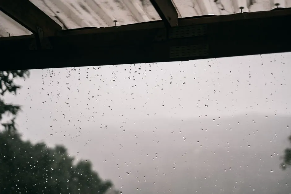 Close-up of raindrops on a roof with a blurry forest view, capturing a moody rainy day.